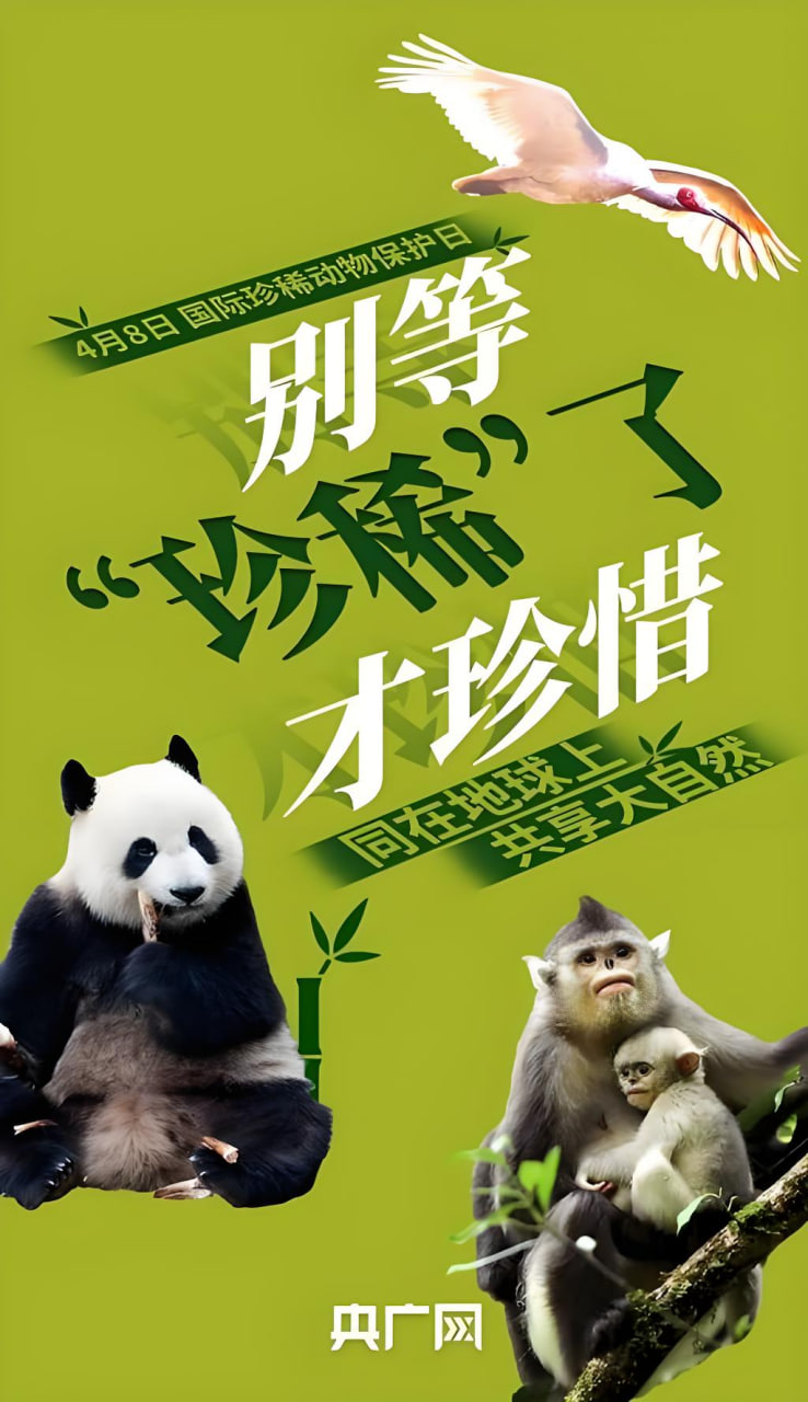欧冠新赛季